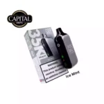 Pod-Salt-35000-Puffs-Ice-Mint-Price-in-Dubai