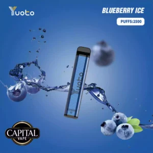 Yuoto 2500 Puffs Blueberry Ice in Dubai