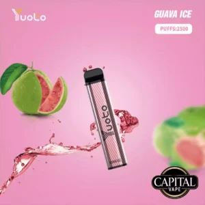 Yuoto 2500 Puffs Guava Ice in Dubai