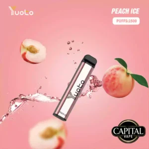 Yuoto 2500 Puffs Peach Ice in Dubai