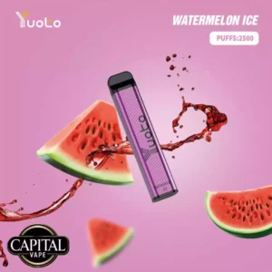 Yuoto 2500 Puffs Watermelon Ice in Dubai