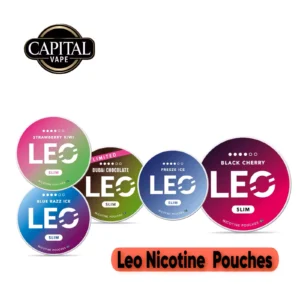 Leo Nicotine Pouches in Dubai, Abu Dhabi & UAE